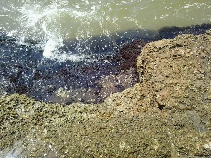 Olas del mar Caribe rompen contra las rocas del Fuerte de San Fernando en Bocachica, Cartagena, un paisaje cargado de historia y magia.